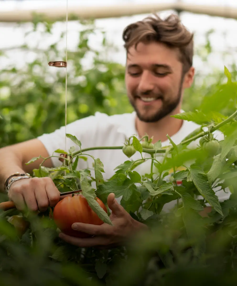 Producteurs pour Frichti